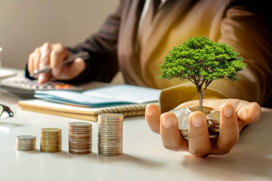 meilleurs investissements non imposables france