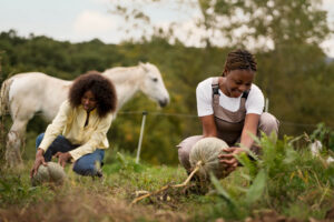 donation terrain agricole famille