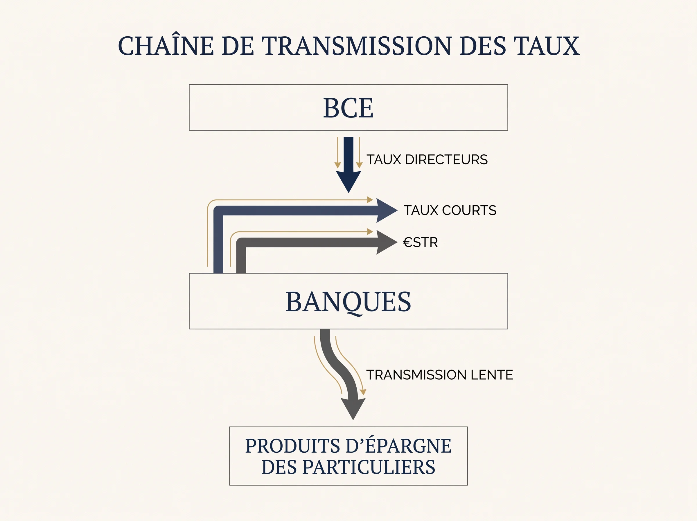Schéma simple de la transmission des taux de la BCE vers les différents produits d’épargne.